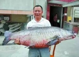 青鱼视频国产在线,国产在线影视盛宴，尽享视听盛宴