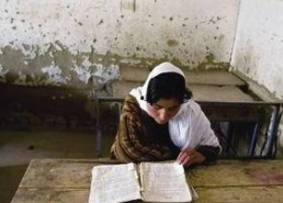 国产欧美非洲免费视频,欧美非洲免费视频大揭秘