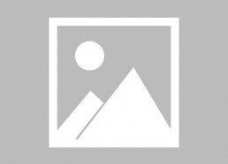 高清对白国产在线