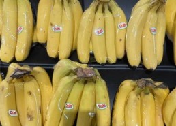 香蕉国产精品,品味家乡的甜蜜诱惑